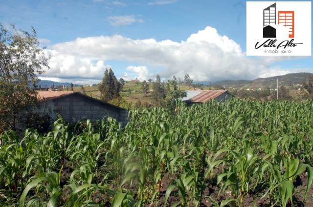 PROPIEDAD RURAL CERCA DE SAN CRISTÓBAL. — foto 12