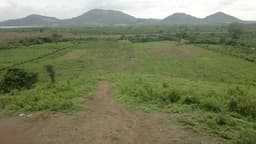 Vendo finca en Santa Elena de 20 hectareas
