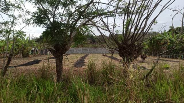 Se vende Terreno Tonsupa Club del Pacifico 1500m2 — foto 2