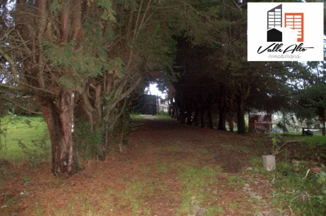 TERRENO IDEAL PARA PROYECTO INMOBILIARIO. — foto 4