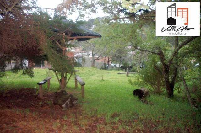 TERRENO IDEAL PARA PROYECTO INMOBILIARIO. — foto 5
