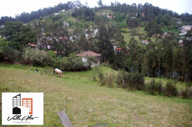 TERRENO IDEAL PARA PROYECTO INMOBILIARIO. — foto 7