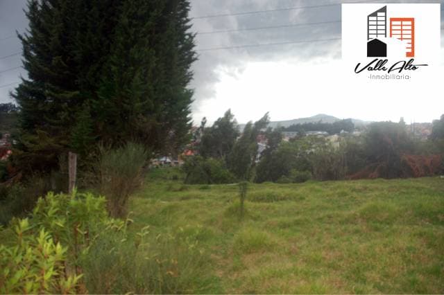 TERRENO IDEAL PARA PROYECTO INMOBILIARIO. — foto 9