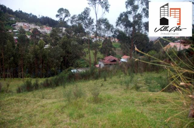 TERRENO IDEAL PARA PROYECTO INMOBILIARIO. — foto 12