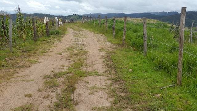 Hacienda ganadera sector Tarqui — foto 6