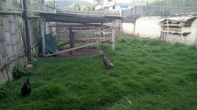 CASA DE CAMPO EN SAN PABLO — foto 4