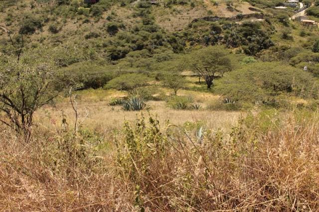Terreno de venta en Tumbaco, sector Collaqui — foto 2