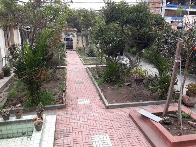 Casa En Venta De 600 Mts2 Norte Oportunidad De Negocios — foto 3