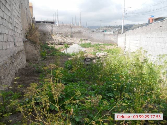 Vendo Terreno 250 metros Consejo Provincial — foto 3