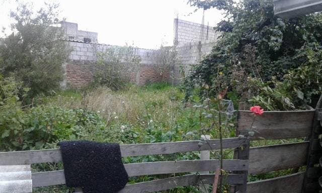 PROPIEDAD EN SANTA RITA — foto 5