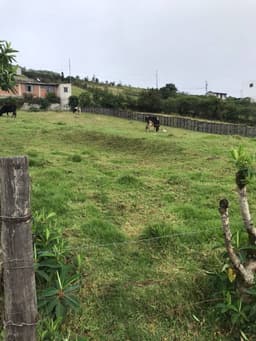 Terreno de 1000 m2 en Cutuglagua El Rosario 2 (Sur de Quito)