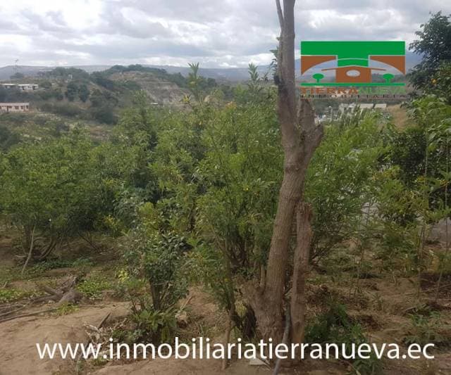 CASA CON TERRENO DE 1.000M2 EN GUALLABAMBA — foto 4
