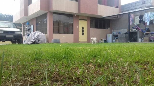 Vendo Casa Independiente en Izamba — foto 4