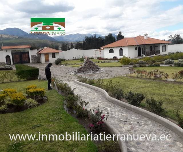 VENDO HERMOSA CASA EN COTACACHI — foto 11