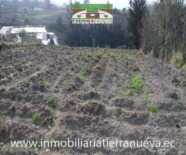 SE VENDE EN OTAVALO CASA DE CAMPO — foto 1