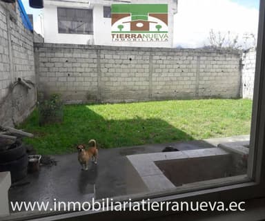 Miniatura 10