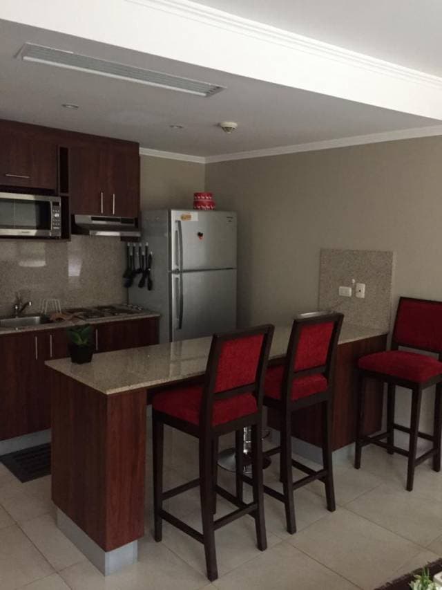 Vendo hermoso Dpto FULL AMOBLADO Riverfront 2 vista al rio — foto 5