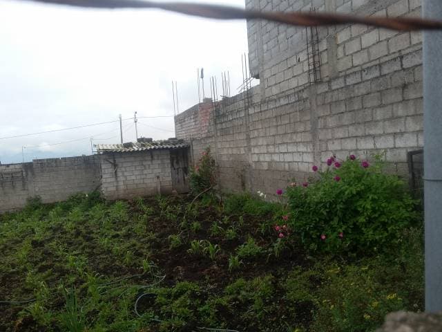 HERMOSO TERRENO EN GUAMANÍ — foto 6