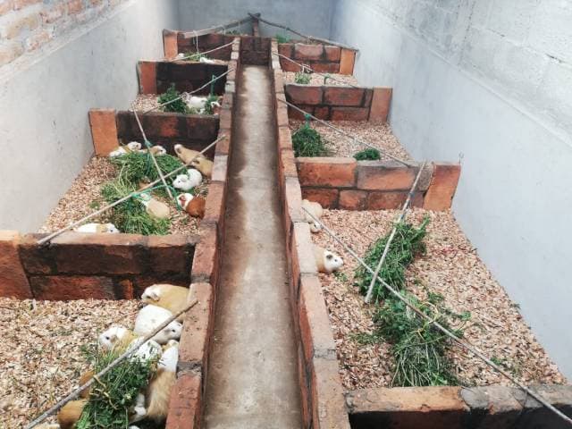 Se vende o recibe una casa del mismo valor. — foto 2
