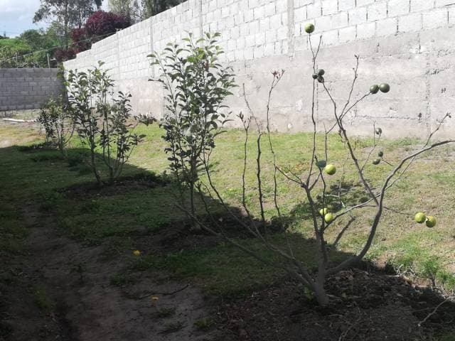 Se vende o recibe una casa del mismo valor. — foto 3