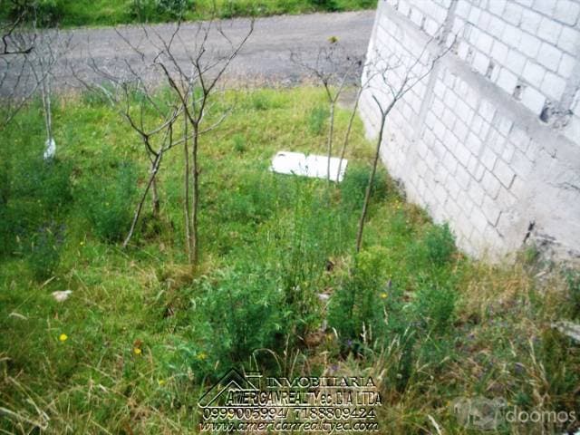 CASA CON TERRENO DE VENTA EN BIBLIAN — foto 13