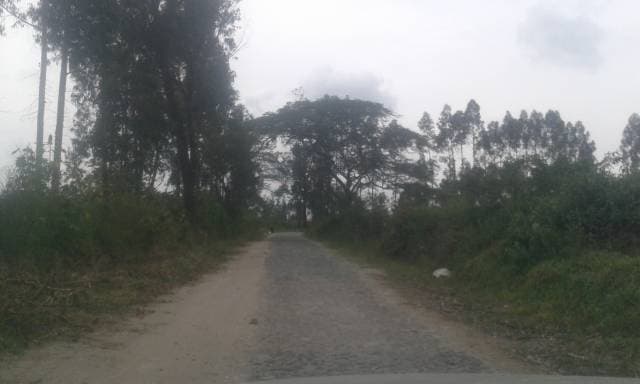 Terreno en Puembo - Mangahuantag Excelente Oportunidad — foto 5