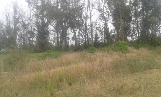 Terreno en Puembo - Mangahuantag Excelente Oportunidad — foto 7