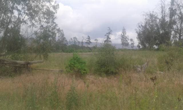 Terreno en Puembo - Mangahuantag Excelente Oportunidad — foto 8