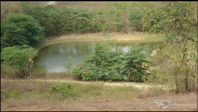 Terrenos vía a la Costa. Lotización privada. Km 22 — foto 1