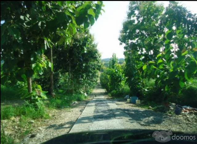 Terrenos vía a la Costa. Lotización privada. Km 22 — foto 4