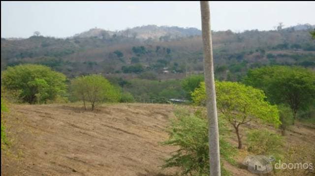 Terrenos vía a la Costa. Lotización privada. Km 22 — foto 5