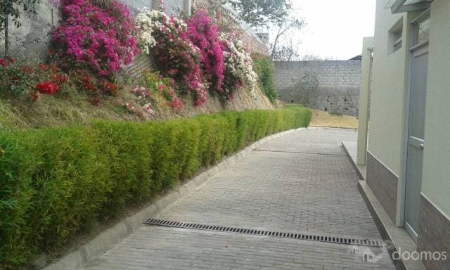 ARRIENDO AMPLIA CASA — foto 7