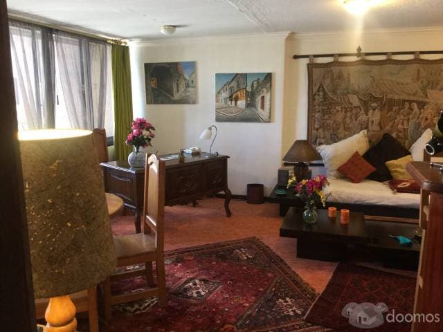 EXTRANJERA VENDE PRECIOSA SUITE 1 DORMITORIO — foto 1