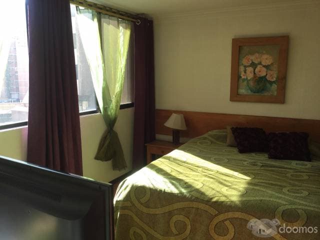 EXTRANJERA VENDE PRECIOSA SUITE 1 DORMITORIO — foto 3