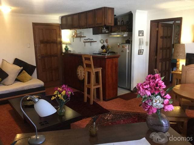 EXTRANJERA VENDE PRECIOSA SUITE 1 DORMITORIO — foto 4