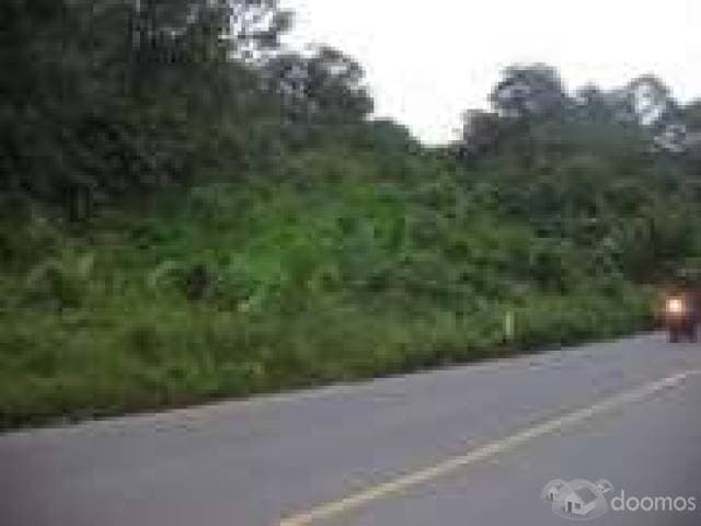 finca 47 hectareas lumbaqui — foto 1