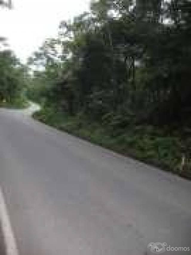 finca 47 hectareas lumbaqui — foto 3
