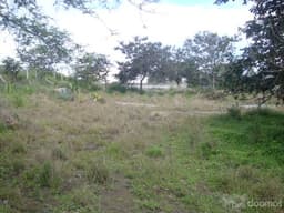 VENDO HERMOSO TERRENO PLANO 510 M2 URB. JUAN MONTALVO NAYON