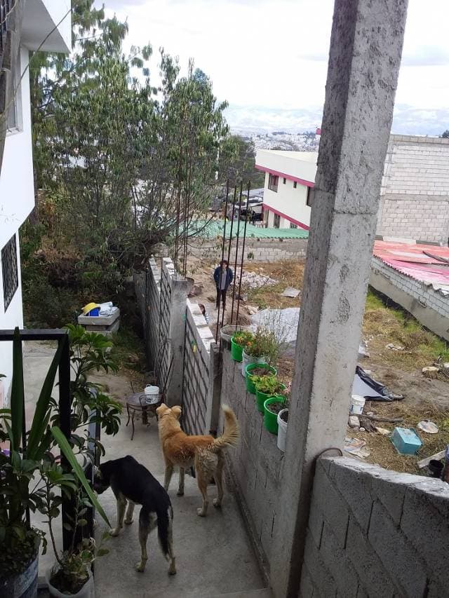 TERRENO EN VENTA PISULI — foto 5