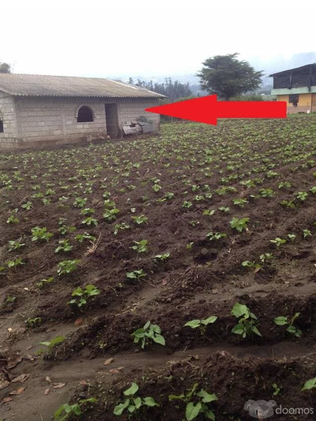 VENTA DE TERRENO YARUQUI — foto 1