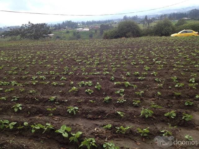 VENTA DE TERRENO YARUQUI — foto 2