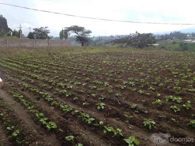 VENTA DE TERRENO YARUQUI — foto 3