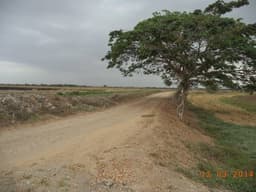 Inversionistas Remato urgente: Vendo barato Terreno 1,375 mt2 Lotización El Buijo USD17,990.00