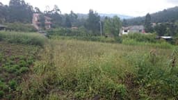 DE OPORTUNIDAD ¡TERRENO EN VENTA!! RICAURTE SECTOR SAN ANTONIO