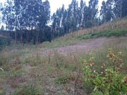 INVIERTA EN ESTE TERRENO!! SECTOR SAN ANTONIO DE RICAURTE