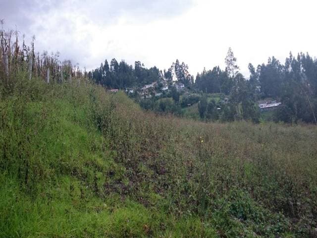 INVIERTA EN ESTE TERRENO!!  SECTOR SAN ANTONIO DE RICAURTE — foto 3