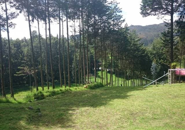 TERRENOS EN VENTA – Victoria del Portete — foto 2