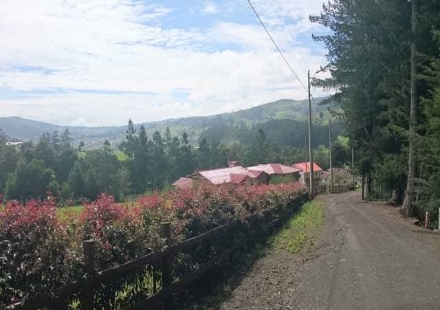 TERRENOS EN VENTA – Victoria del Portete — foto 6