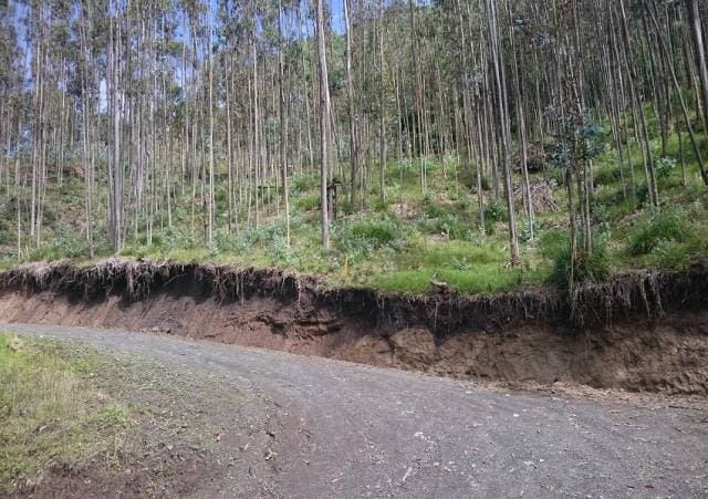 TERRENOS EN VENTA – Victoria del Portete — foto 10