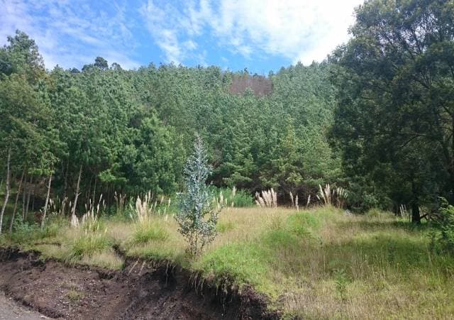 TERRENOS EN VENTA – Victoria del Portete — foto 11
